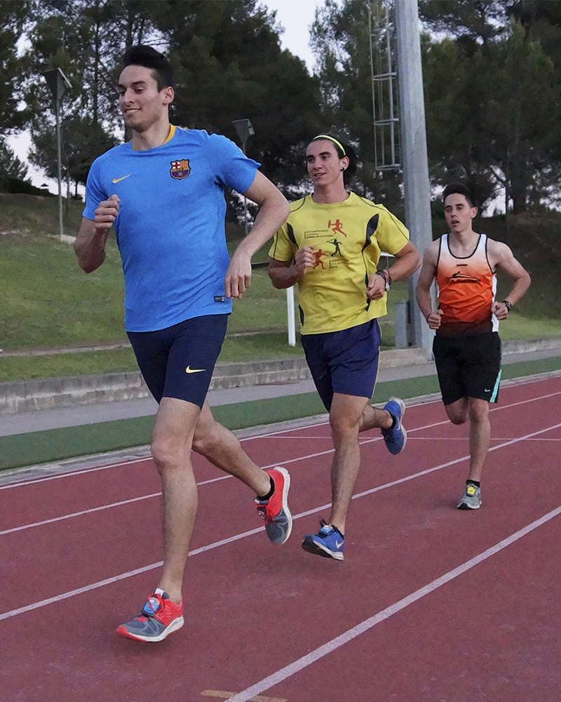 Como entrenar6