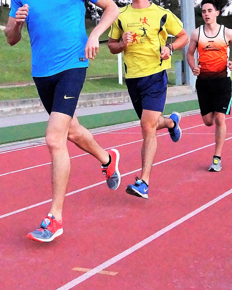 Sistemas carrera1